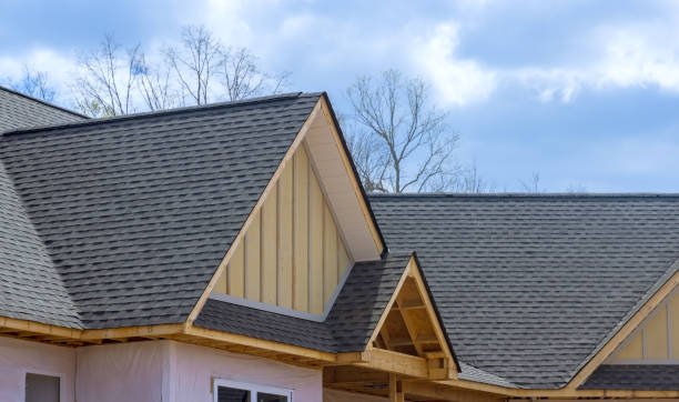 Best Asphalt Shingle Roofing  in Jacksonville, FL
